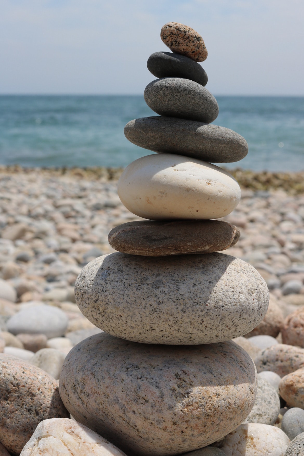 Cover of 